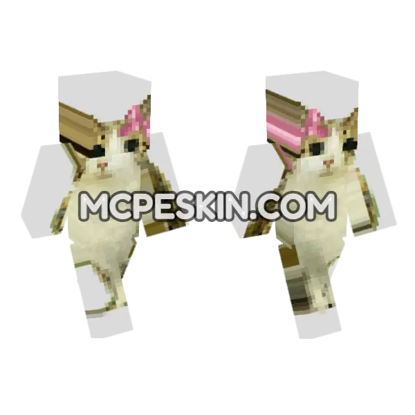 Cat 1 Minecraft Bedrock skin, front and back