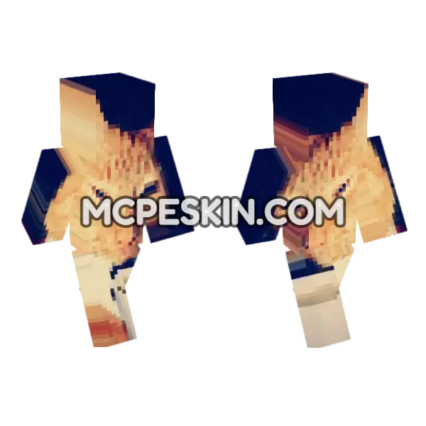 Cat 10 Minecraft Bedrock skin, front and back