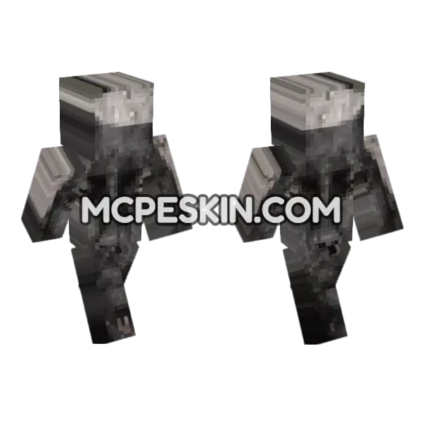 Cat 11 Minecraft Bedrock skin, front and back