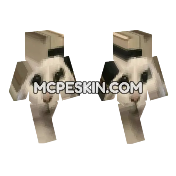 Cat 12 Minecraft Bedrock skin, front and back