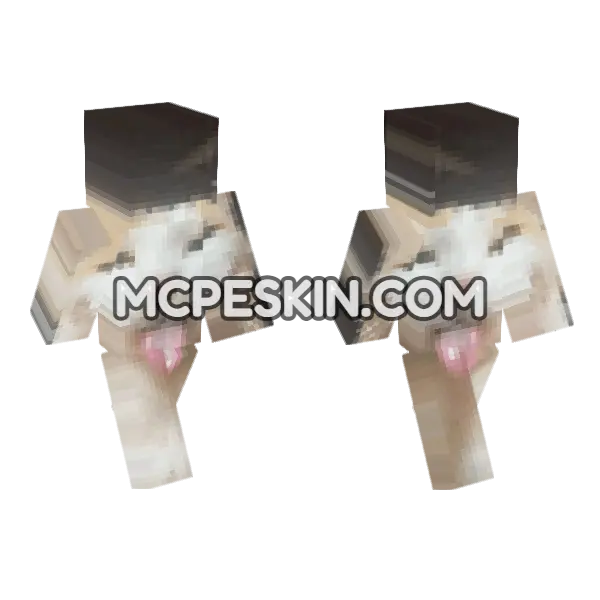 Cat 14 Minecraft Bedrock skin, front and back
