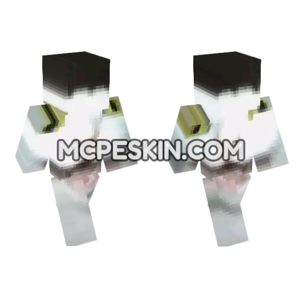 Cat 17 Minecraft Bedrock skin, front and back