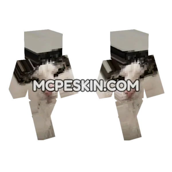 Cat 18 Minecraft Bedrock skin, front and back
