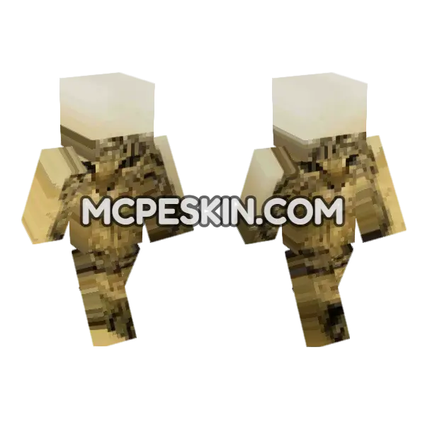 Cat 19 Minecraft Bedrock skin, front and back
