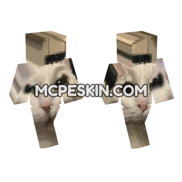 Cat 2 Minecraft Bedrock skin, front and back