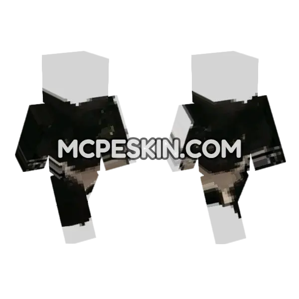 Cat 20 Minecraft Bedrock skin, front and back