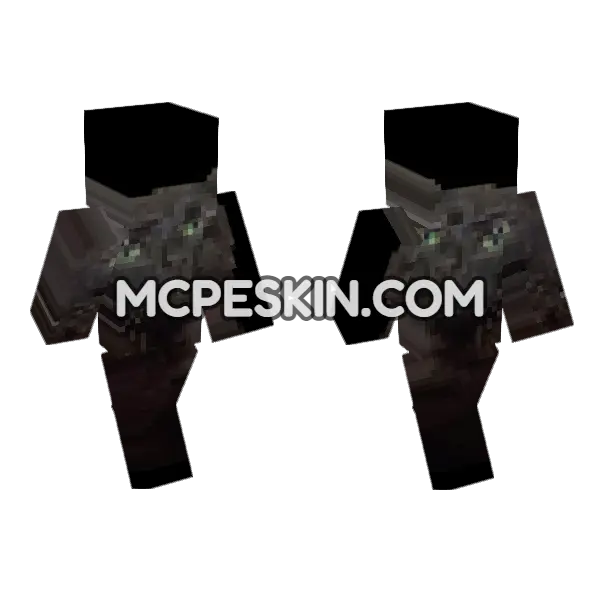 Cat 21 Minecraft Bedrock skin, front and back