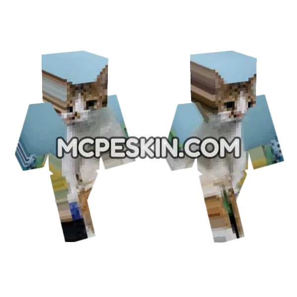 Cat 22 Minecraft Bedrock skin, front and back