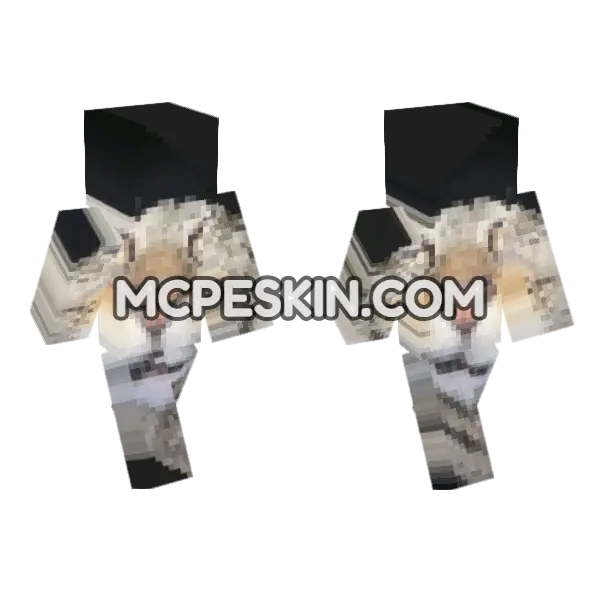 Cat 23 Minecraft Bedrock skin, front and back