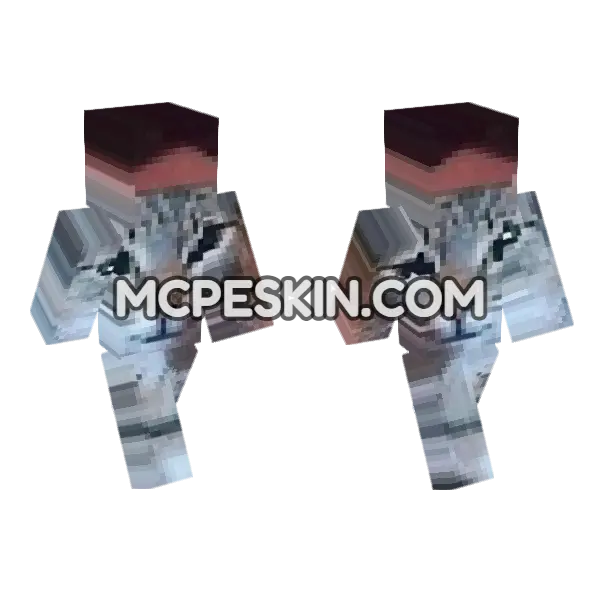 Cat 3 Minecraft Bedrock skin, front and back