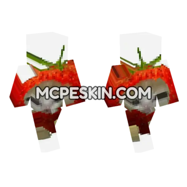 Cat 4 Minecraft Bedrock skin, front and back