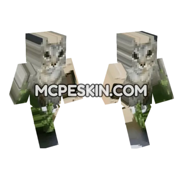 Cat 5 Skin Minecraft Bedrock skin, front and back