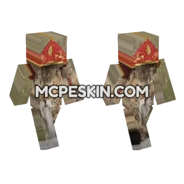 Cat 6 Minecraft Bedrock skin, front and back