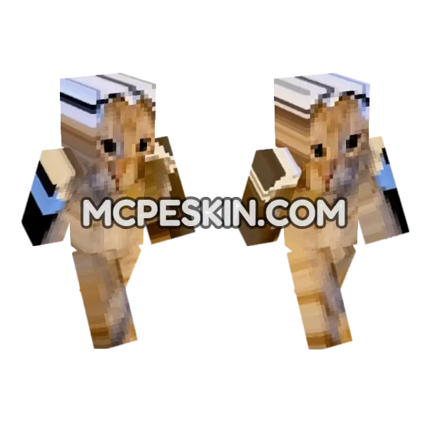 Cat 7 Minecraft Bedrock skin, front and back
