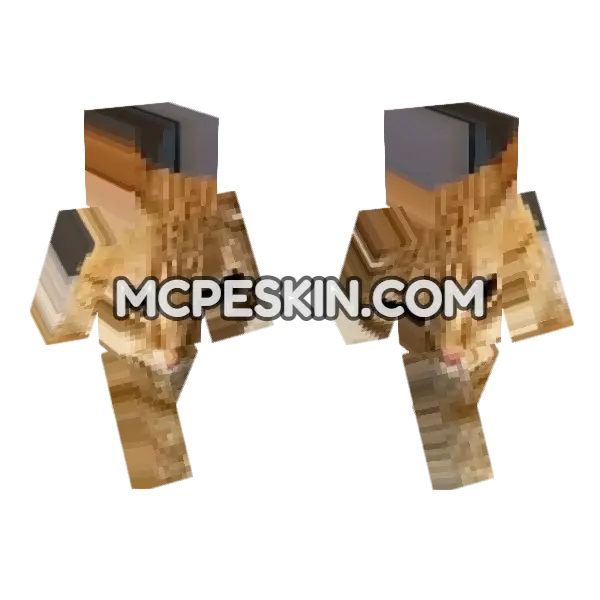 Cat 8 Minecraft Bedrock skin, front and back