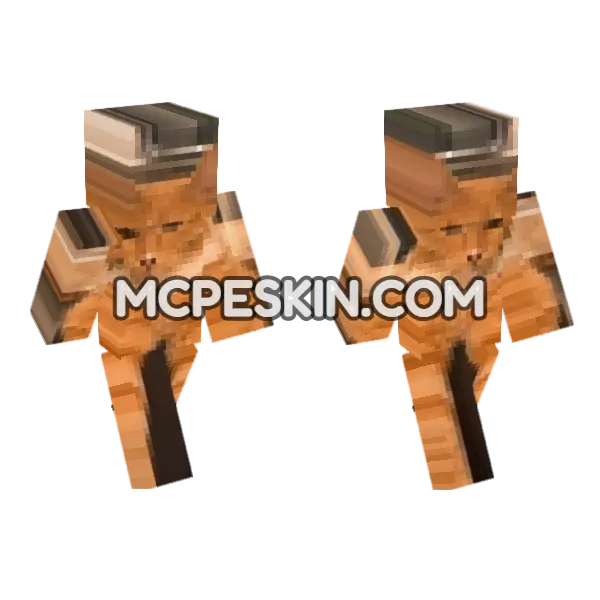 Cat 9 Minecraft Bedrock skin, front and back