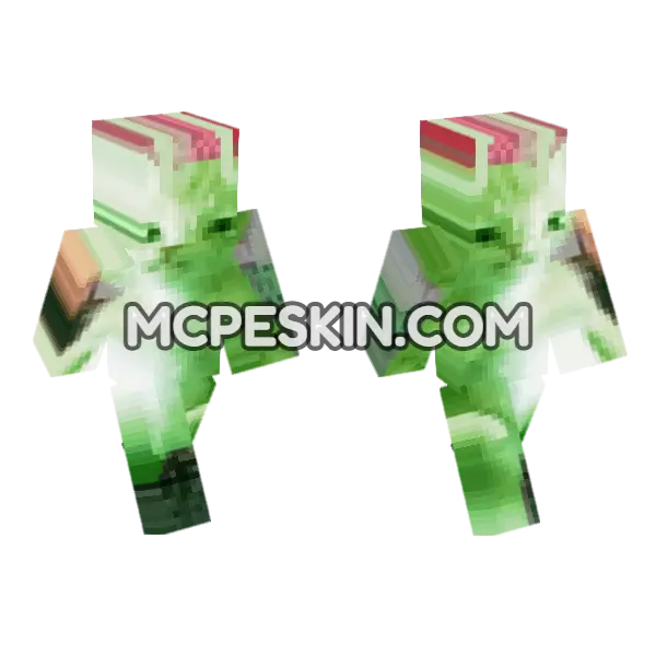 Cat 9 Minecraft Bedrock skin, front and back
