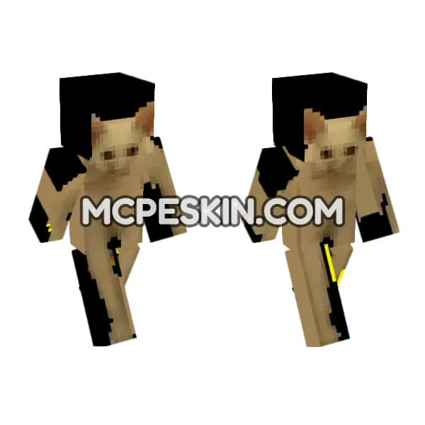 Cat Skin Minecraft Bedrock skin, front and back