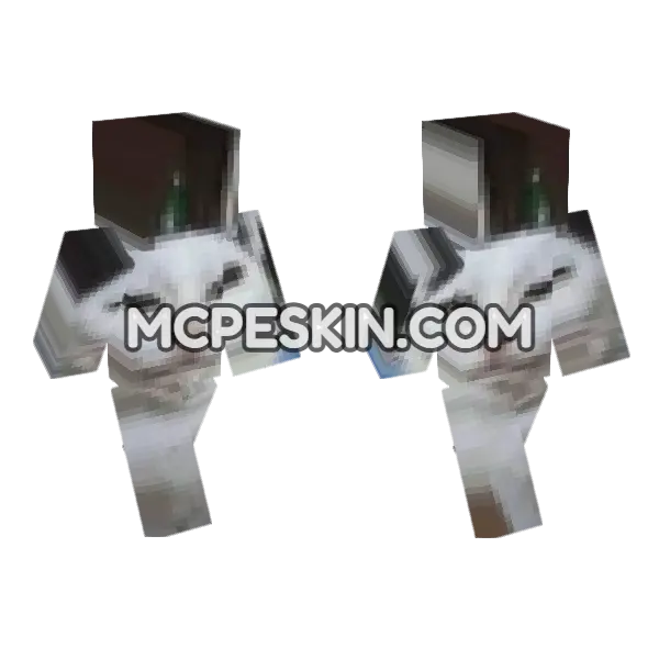 Cat Skin Minecraft Bedrock skin, front and back