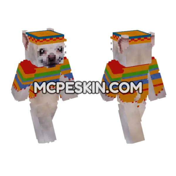 Chihuahua Sombrero, front and back