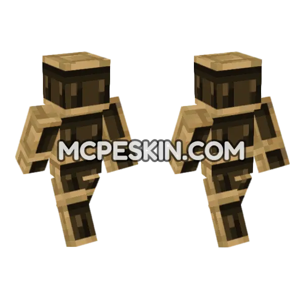Chiseled Bookshelf Empty Minecraft Bedrock skin, front and back