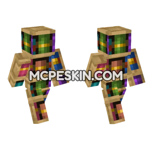 Chiseled Bookshelf Minecraft Bedrock skin, front and back