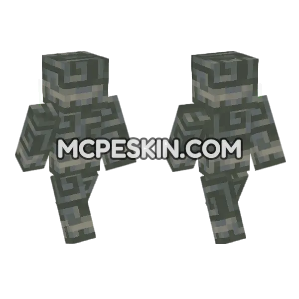 Chiseled Tuff Block Minecraft Bedrock skin, front and back