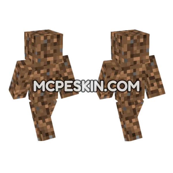 Coarse Dirt Skin Minecraft Bedrock skin, front and back