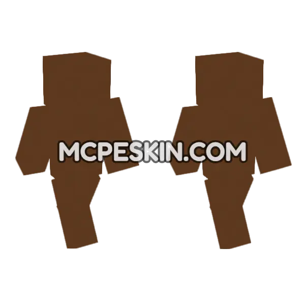 Concrete Brown Minecraft Bedrock skin, front and back