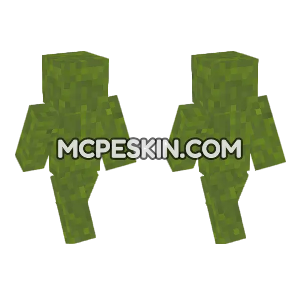 Concrete Powder Green Minecraft Bedrock skin, front and back