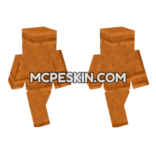 Cut Red Sandstone Minecraft Bedrock skin, front and back