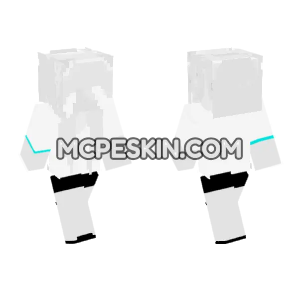 Dami 6939444 Minecraft Bedrock skin, front and back