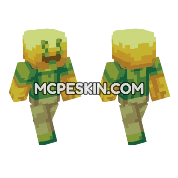 Danchogold Skin Minecraft Bedrock skin, front and back