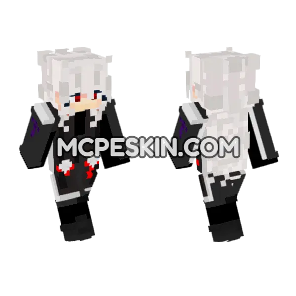 Dark Priest Minecraft Bedrock skin, front and back