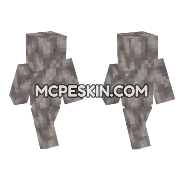 Dead Bubble Coral Block Minecraft Bedrock skin, front and back