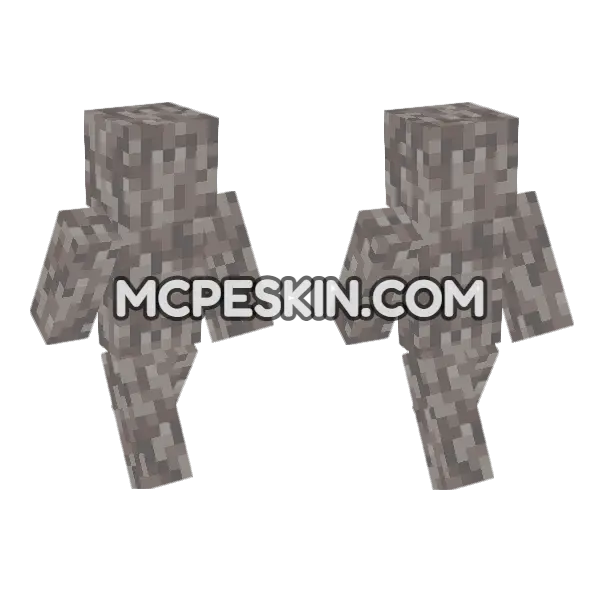 Dead Fire Coral Block Minecraft Bedrock skin, front and back