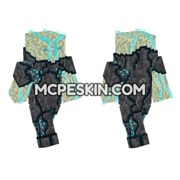 Deep Dark Wizard Minecraft Bedrock skin, front and back