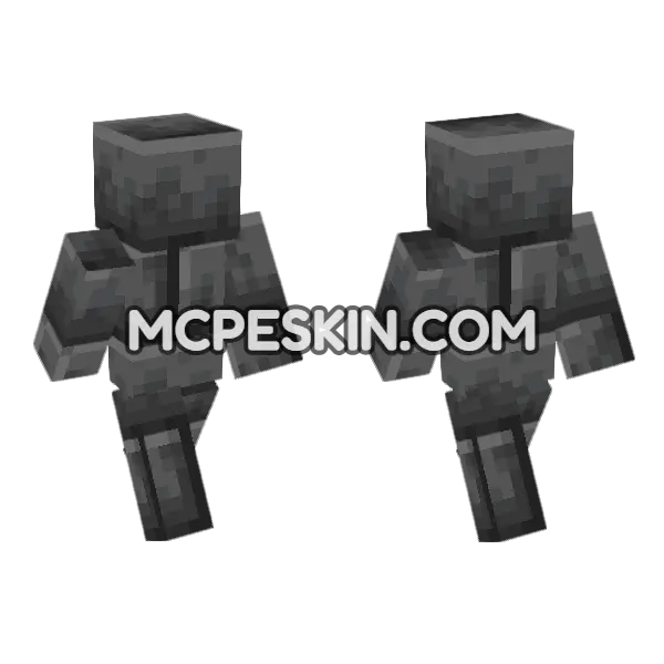 Deepslate Bricks Minecraft Bedrock skin, front and back