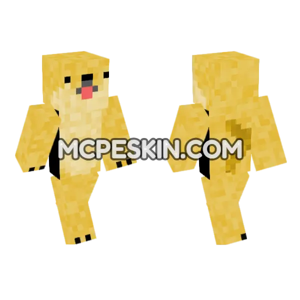 Derp Dog Minecraft Bedrock skin, front and back
