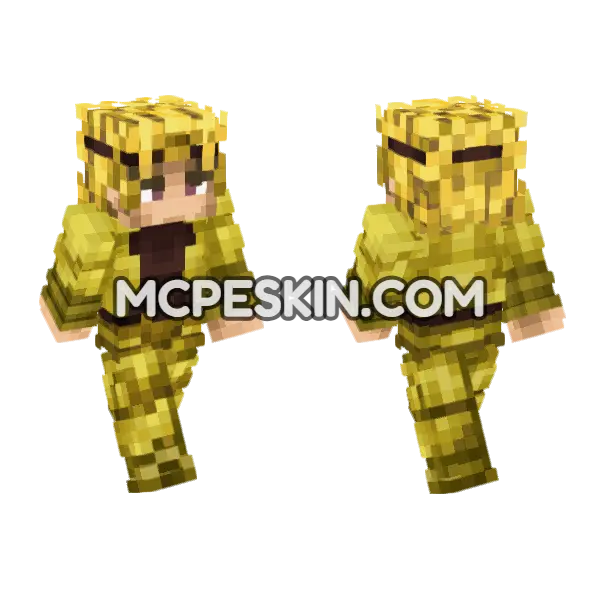 Dio Brando Ova Minecraft Bedrock skin, front and back