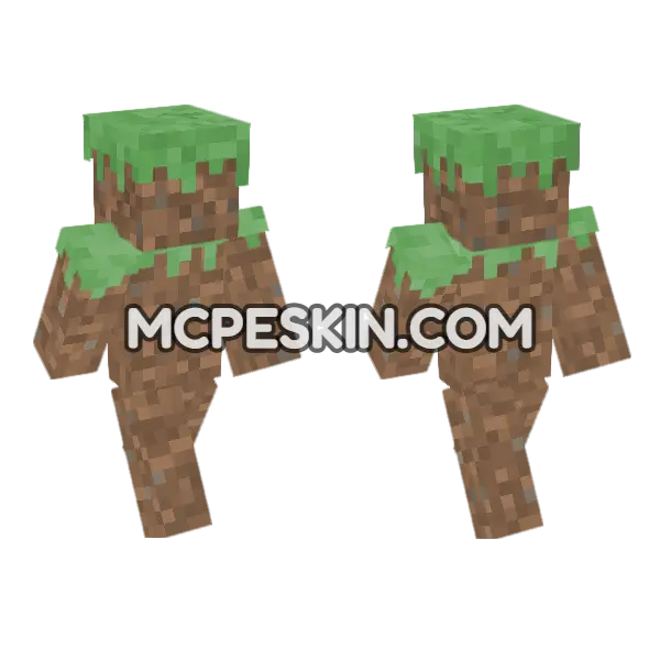 Dirt Block Skin Minecraft Bedrock skin, front and back