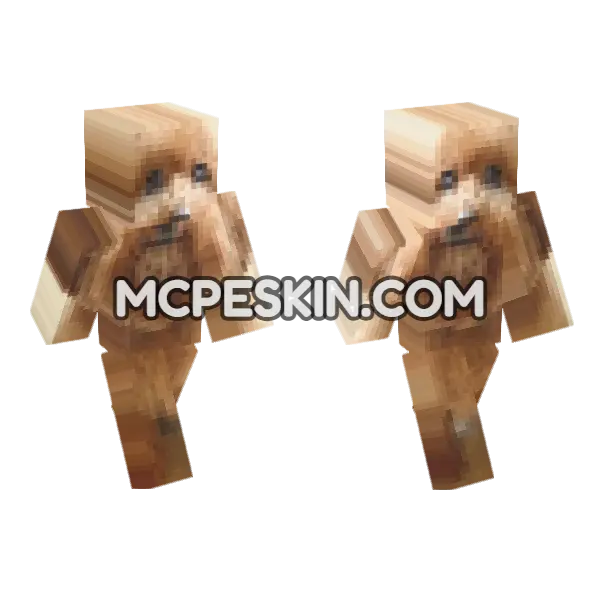 Dog 1 Skin Minecraft Bedrock skin, front and back