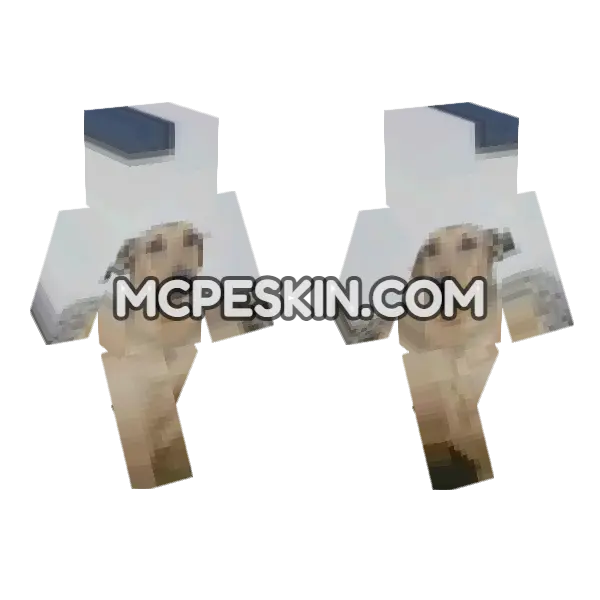 Dog 15 Minecraft Bedrock skin, front and back