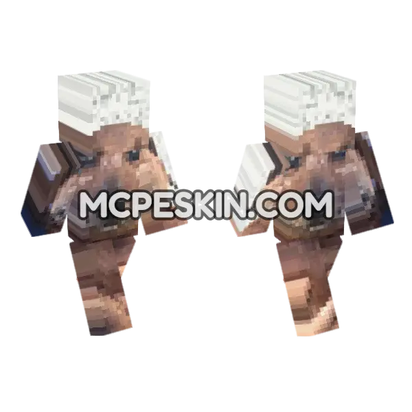 Dog 6 Minecraft Bedrock skin, front and back