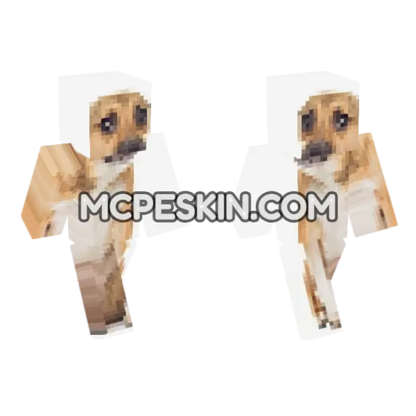 Dog 9 Minecraft Bedrock skin, front and back