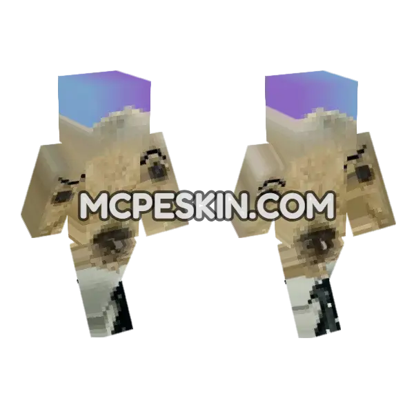 Dog Skin Minecraft Bedrock skin, front and back
