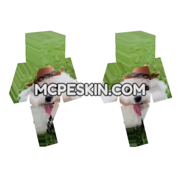 Dog With Hat Minecraft Bedrock skin, front and back