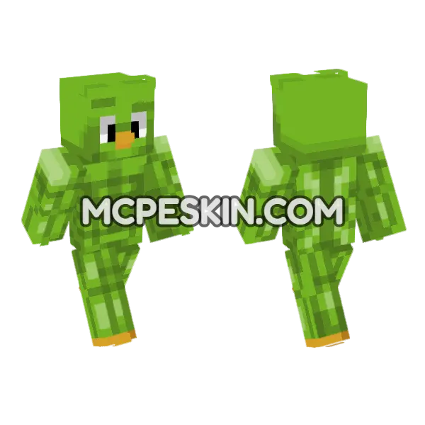 Duolingo Green Bird Minecraft Bedrock skin, front and back