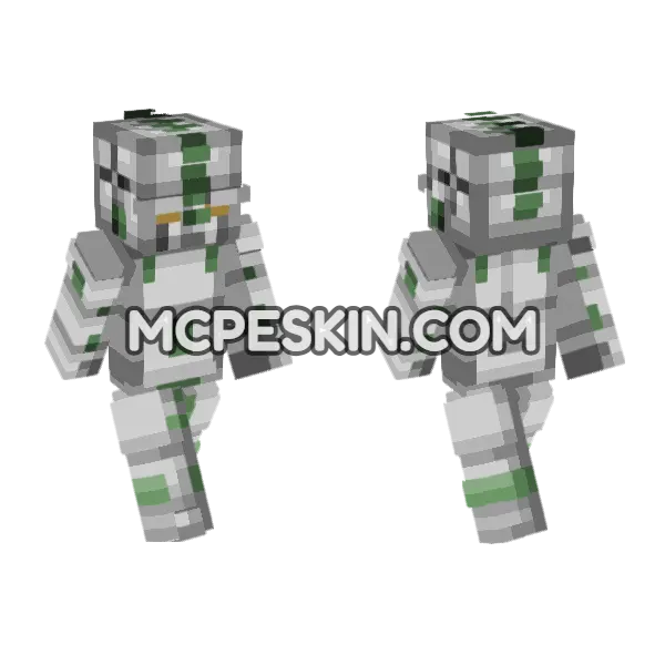 Echoes Act 3 Minecraft Bedrock skin, front and back