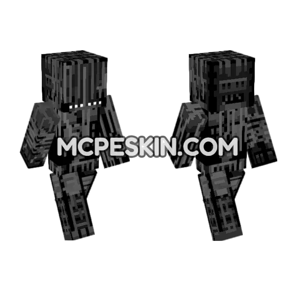 Endo R Missing Minecraft Bedrock skin, front and back